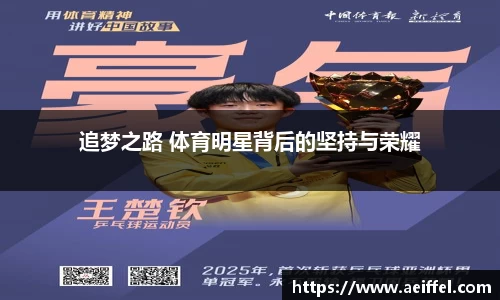 追梦之路 体育明星背后的坚持与荣耀